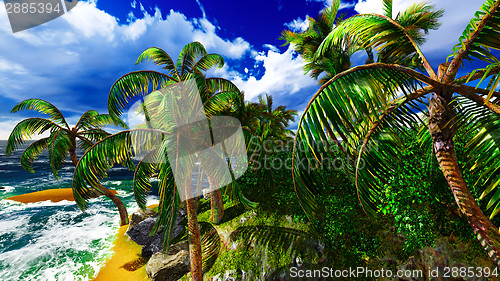 Image of Paradise on Hawaii Island