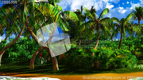 Image of Paradise on Hawaii Island