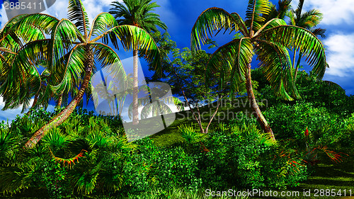 Image of Paradise on Hawaii Island