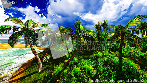 Image of Paradise on Hawaii Island