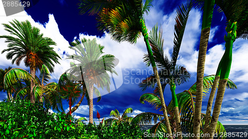 Image of Paradise on Hawaii Island