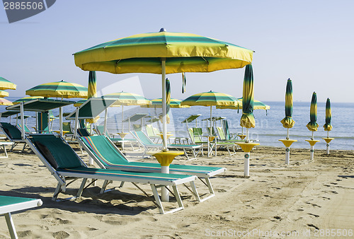 Image of Sunbeds and umbrellas on the beach