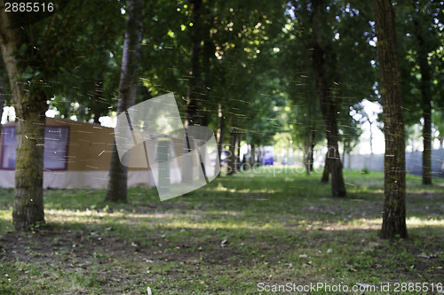 Image of Tents in camping