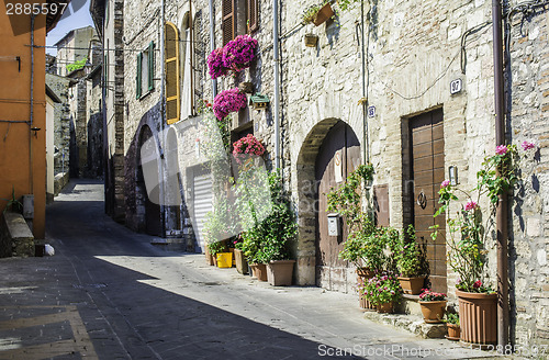 Image of Italian typical houses