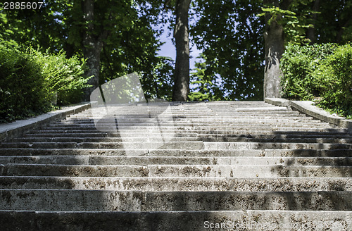 Image of Stairs in the Park