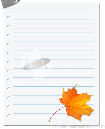 Image of Notebook paper with autumn maple leaf on white