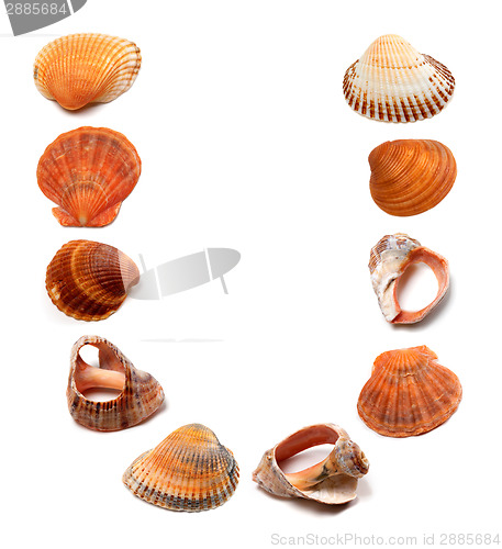 Image of Letter U composed of seashells