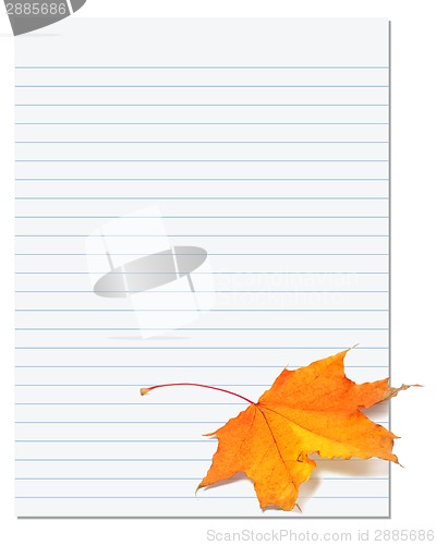 Image of Notebook paper with autumn maple leaf on white