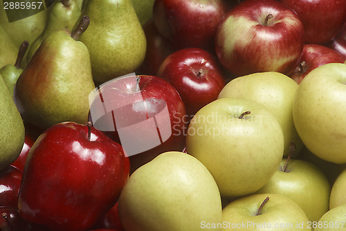 Image of Variety of apples and Bartlet pears 