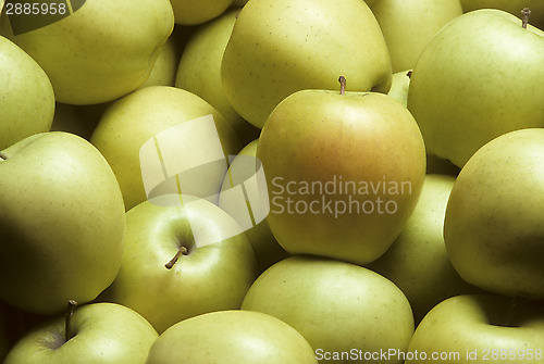 Image of Golden Delicious Apples