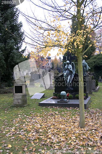 Image of Autumnal cemetery