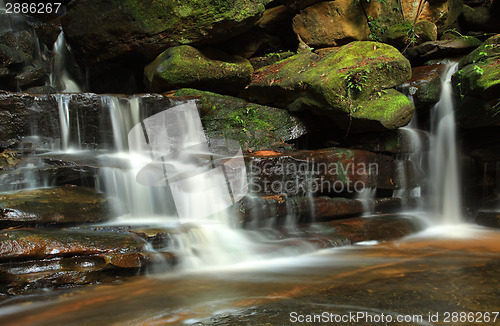 Image of Somersby Falls, Australia