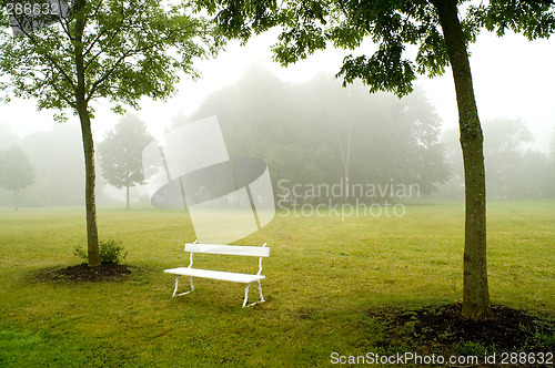 Image of Deserted bench