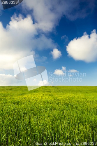 Image of Beautiful green landscape