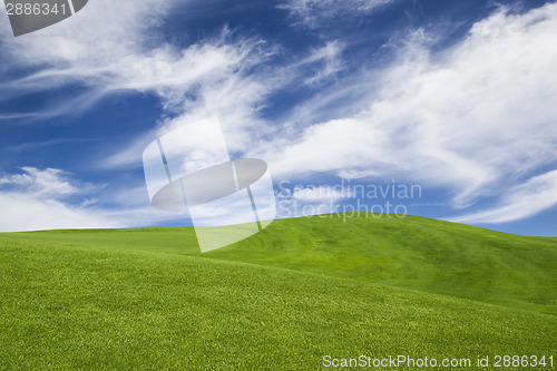 Image of Beautiful green landscape