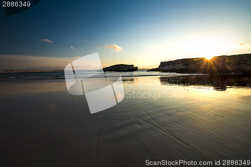 Image of Sunshine beach