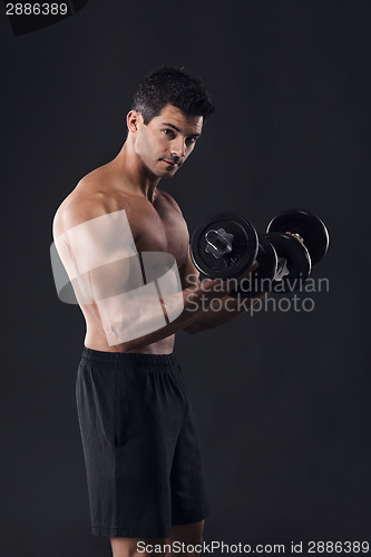 Image of Muscular man lifting weights