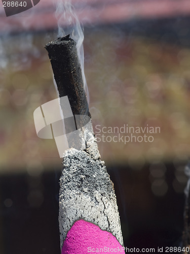 Image of Giant joss stick