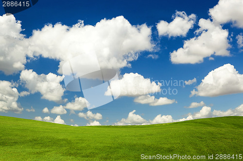 Image of Beautiful green meadow