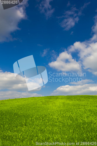 Image of Beautiful green landscape