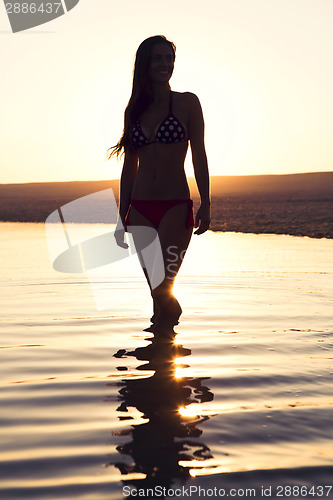 Image of Surfer Girl