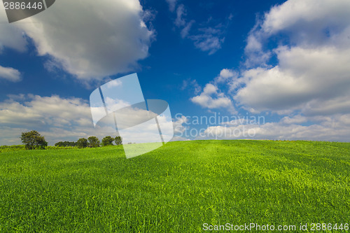 Image of Beautiful green landscape