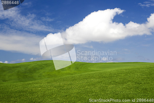 Image of Beautiful green landscape