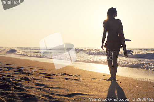 Image of Surfer Girl