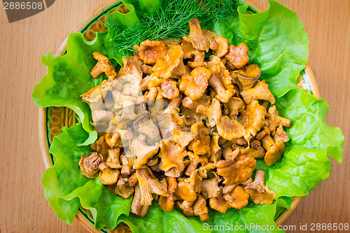 Image of Fried mushrooms of chanterelle on a dish together with lettuce l