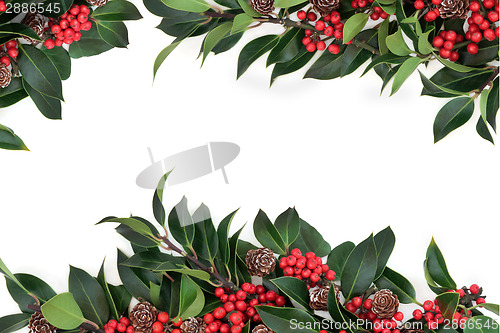 Image of Holly Berry Border