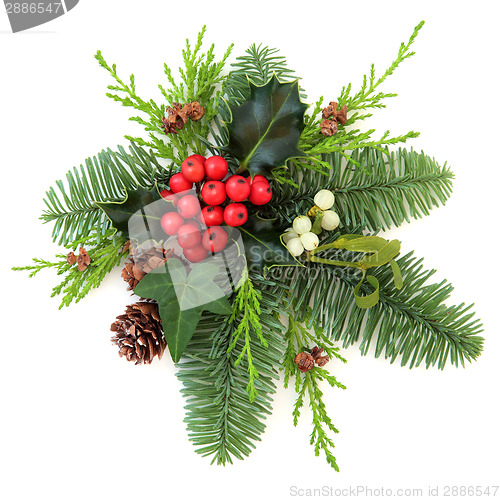 Image of Christmas Decoration