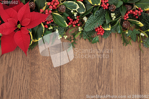 Image of Christmas Floral Border