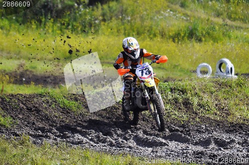 Image of Regional cross-country race competitions in Tyumen 02.08.2014.