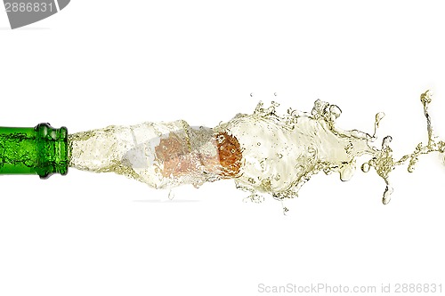 Image of splashing champagne on a white background