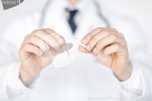 Image of man breaking the cigarette with hands