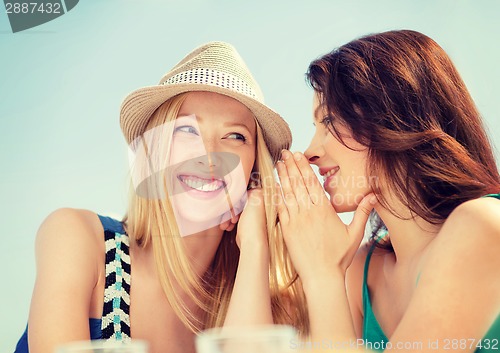 Image of girls gossiping in cafe on the beach