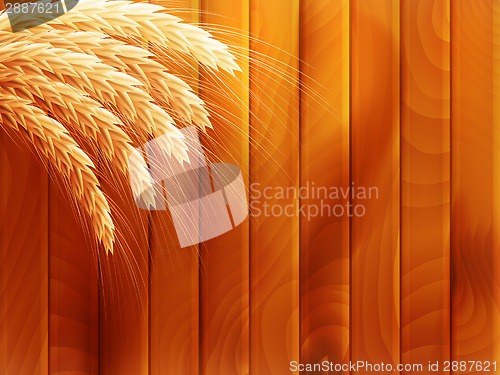 Image of Wheat on wooden autumn background. EPS 10