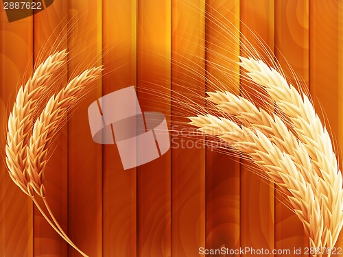 Image of Wheat on wooden autumn background. EPS 10
