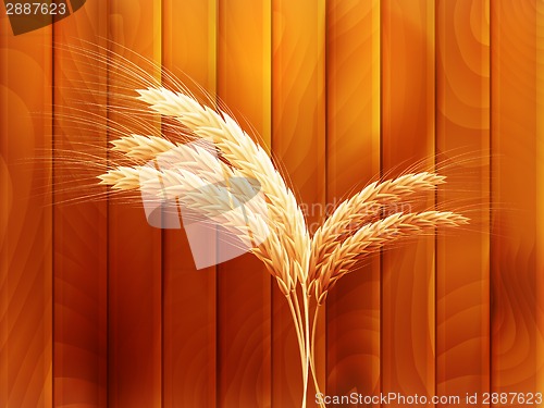 Image of Wheat on wooden autumn background. EPS 10