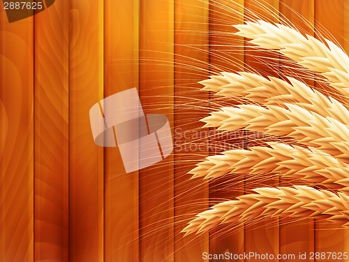 Image of Wheat on wooden autumn background. EPS 10