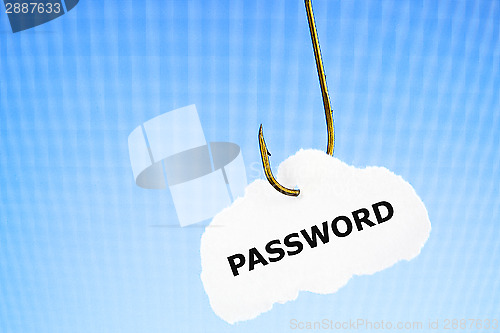 Image of Phishing Password Concept