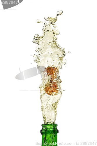 Image of splashing champagne on a white background