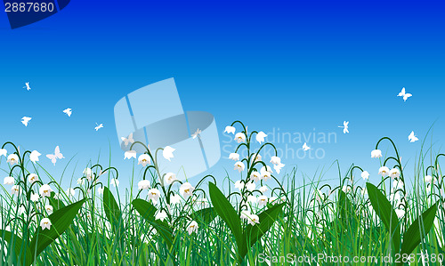 Image of Meadow color background