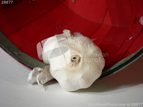 Image of Garlic Basket 1