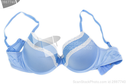 Image of Blue bra isolated on white