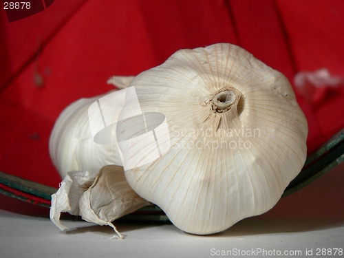 Image of Garlic Basket 2