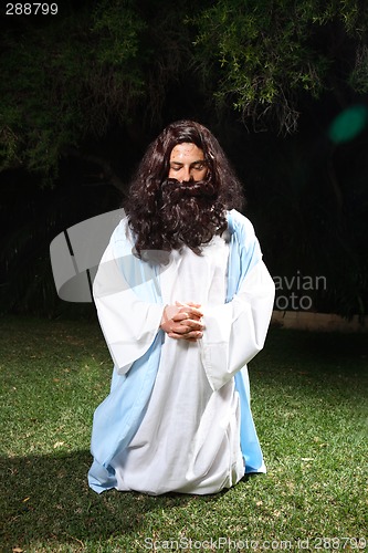 Image of Praying at Gethsemane