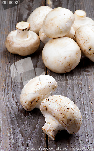 Image of Big Raw Champignons