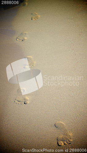 Image of Footprints on Sand