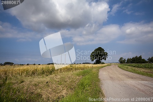 Image of loneliness